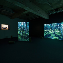 exhibition | 自然観察, 2018
